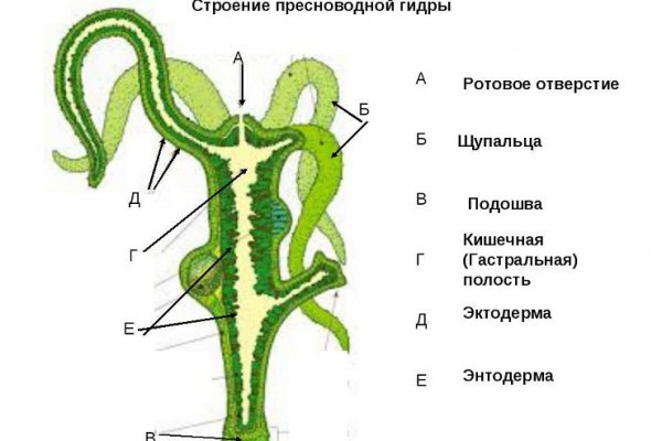 Kraken актуальный сайт